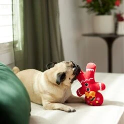 Frisco Holiday Naughty Or Nice Gingerbread Man Reversible Plush Squeaky Dog Toy -Pup Haven Sales Store 287217 PT3. AC SS1800 V1632775304