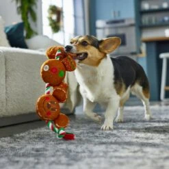 Disney Holiday Mickey & Minnie Mouse Gingerbread Cookies Plush With Rope Squeaky Dog Toy -Pup Haven Sales Store 287437 PT2. AC SS1800 V1695933067