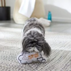 Frisco Message Bubble Plush Squeaky Dog Toy -Pup Haven Sales Store 288941 PT3. AC SS1800 V1638289328