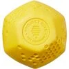 Project Hive Pet Company Ball Dog Toy