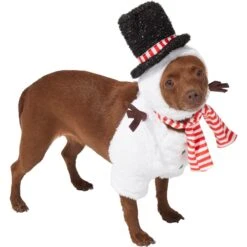 Frisco Front Walking Snowman Dog & Cat Costume -Pup Haven Sales Store 306569 PT3. AC SS1800 V1631660597