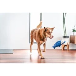 Red Dingo DURABLES Steve The Shark Squeaky Soft Dog Toy 8 Red Dingo DURABLES Steve The Shark Squeaky Soft Dog Toy -Pup Haven Sales Store 308923 PT2. AC SS1800 V1685987625