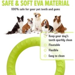 PetSpy Fitness Ring Dog Toy 8 PetSpy Fitness Ring Dog Toy -Pup Haven Sales Store 309601 PT2. AC SS1800 V1624661580