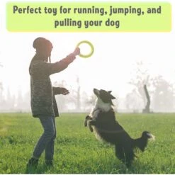 PetSpy Fitness Ring Dog Toy 10 PetSpy Fitness Ring Dog Toy -Pup Haven Sales Store 309601 PT4. AC SS1800 V1624663053
