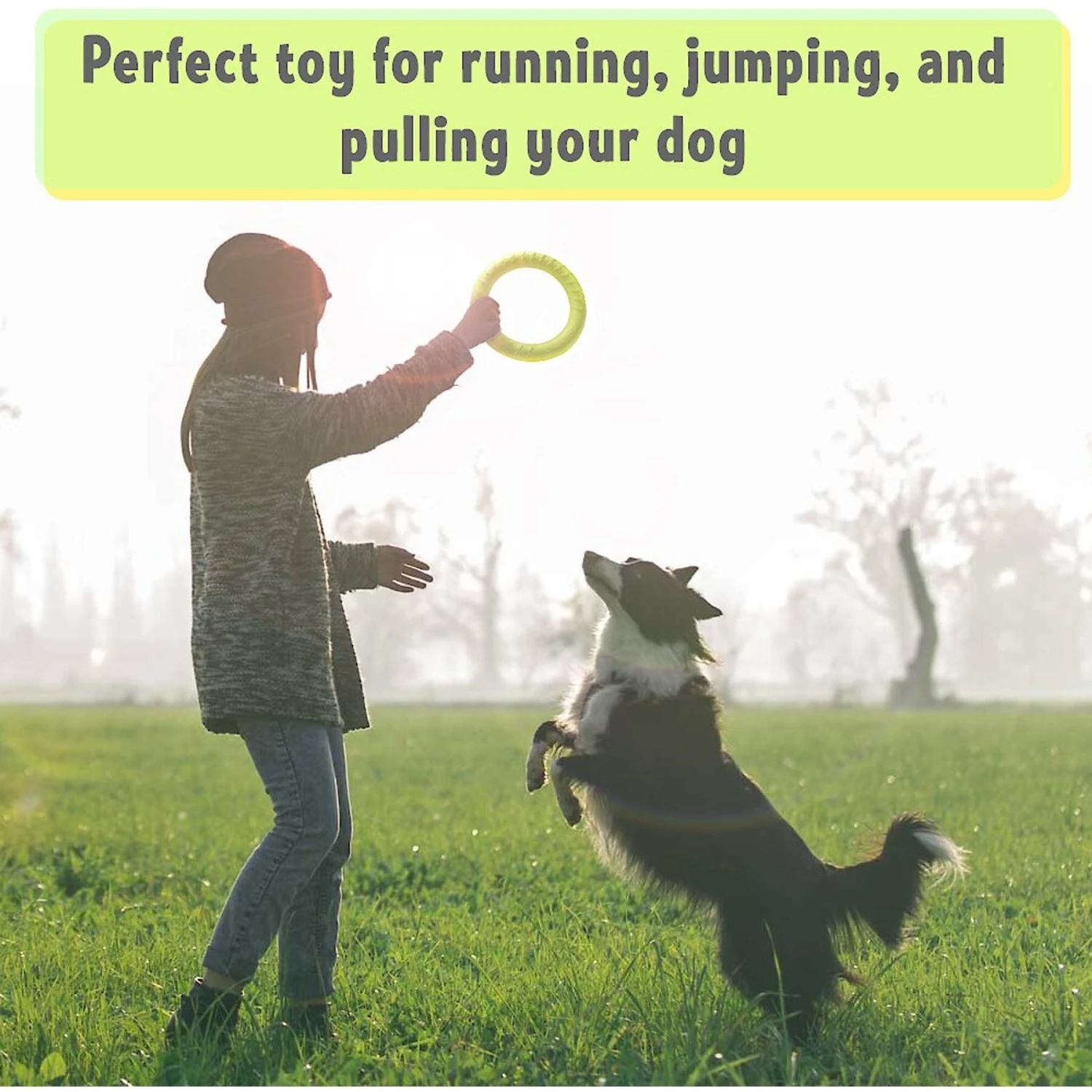 PetSpy Fitness Ring Dog Toy 5 PetSpy Fitness Ring Dog Toy - Image 5