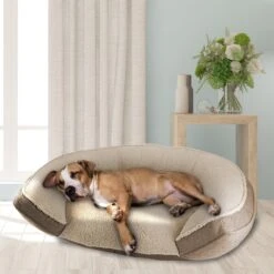 Canine Creations Step In Orthopedic Bolster Dog Bed