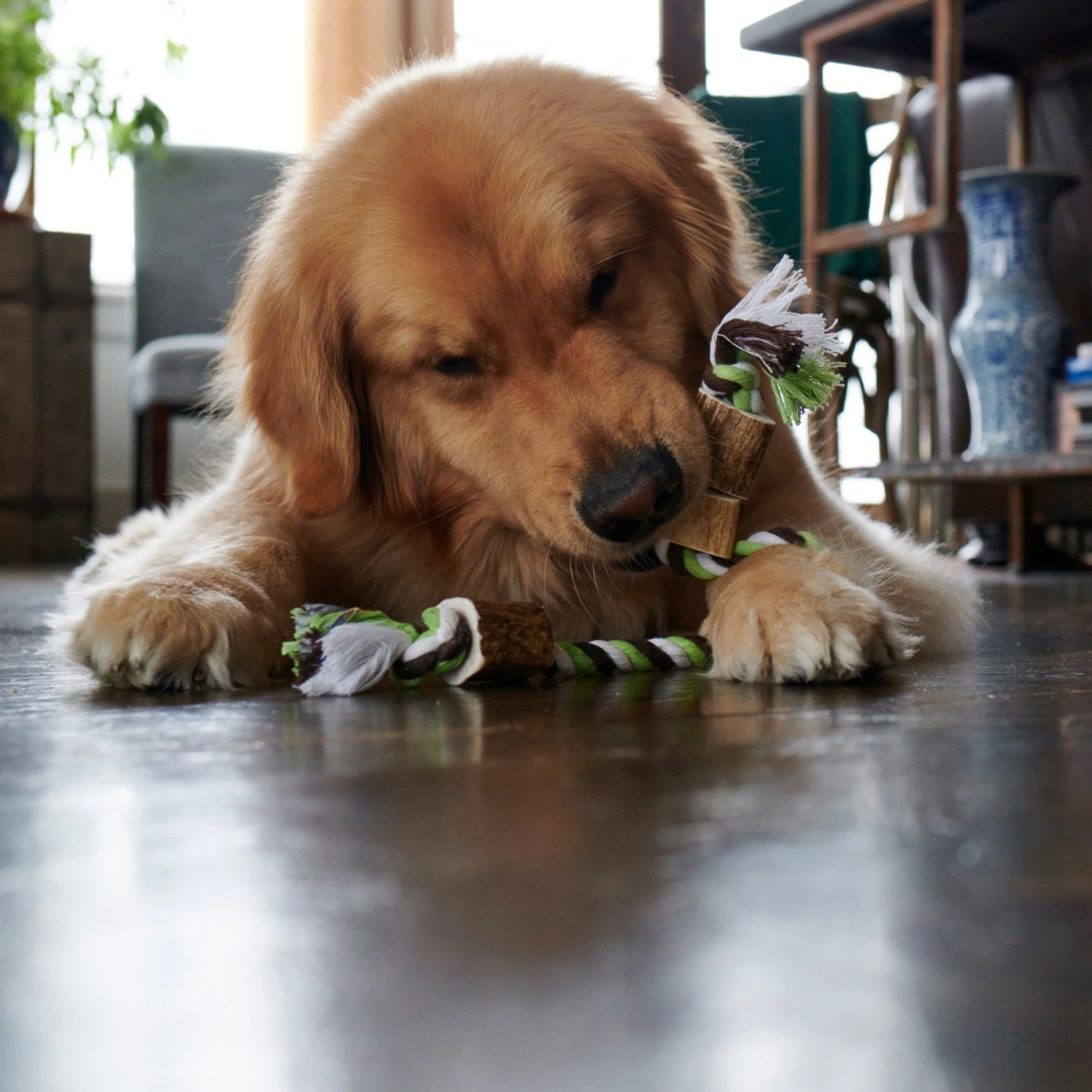 Buck Bone Organics Antler Rope Dog Toy 5 Buck Bone Organics Antler Rope Dog Toy - Image 5