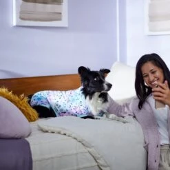 Disney Mickey & Friends Tie Dye Dog & Cat Jersey PJs 9 Disney Mickey & Friends Tie Dye Dog & Cat Jersey PJs -Pup Haven Sales Store 311817 PT8. AC SS1800 V1643323767