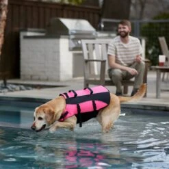 Frisco Ripstop Dog Life Jacket, Pink -Pup Haven Sales Store 312380 PT8. AC SS1800 V1649275938