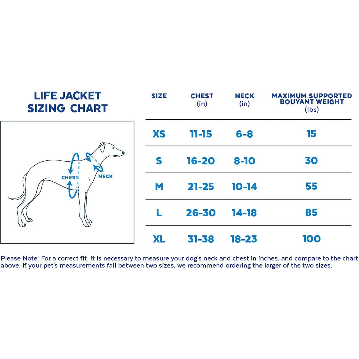 Pixar Finding Nemo & Friends Dog Lifejacket 2 Pixar Finding Nemo & Friends Dog Lifejacket - Image 2