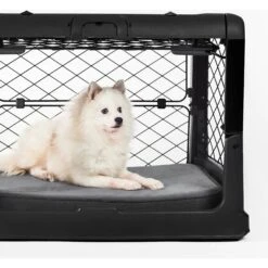 Diggs Revol Collapsible Dog Crate 12 Diggs Revol Collapsible Dog Crate -Pup Haven Sales Store 313497 PT6. AC SS1800 V1627305988