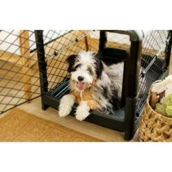 Diggs Revol Collapsible Dog Crate 13 Diggs Revol Collapsible Dog Crate -Pup Haven Sales Store 313497 PT7. AC SS1800 V1627307482