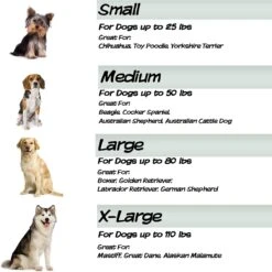 Pet Adobe Steel Frame Elevated Dog Bed -Pup Haven Sales Store 314921 PT4. AC SS1800 V1626397320