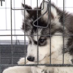 Pet Adobe Hanging Dog Bowl Set -Pup Haven Sales Store 315037 PT5. AC SS1800 V1626388021