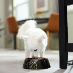 STAR WARS Melamine Stainless Steel Dog & Cat Bowl -Pup Haven Sales Store 315268 PT2. AC SS1800 V1647283229