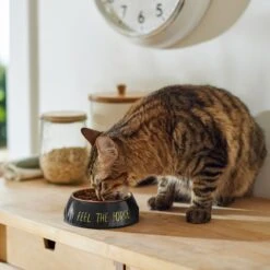 STAR WARS Melamine Stainless Steel Dog & Cat Bowl -Pup Haven Sales Store 315268 PT3. AC SS1800 V1647282165