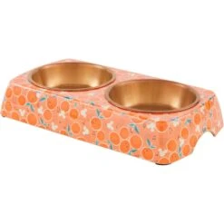 Disney Mickey Mouse Orange Bamboo Melamine Stainless Steel Double Dog & Cat Bowl