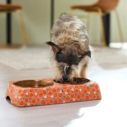 Disney Mickey Mouse Orange Bamboo Melamine Stainless Steel Double Dog & Cat Bowl -Pup Haven Sales Store 315350 PT2. AC SS1800 V1647281698