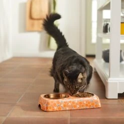 Disney Mickey Mouse Orange Bamboo Melamine Stainless Steel Double Dog & Cat Bowl -Pup Haven Sales Store 315350 PT3. AC SS1800 V1647282204