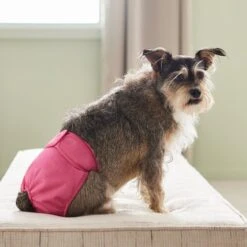Frisco Washable Female Diaper 9 Frisco Washable Female Diaper -Pup Haven Sales Store 315702 PT3. AC SS1800 V1644885450