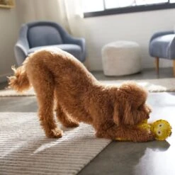 STAR WARS C-3PO Bottle Plush Squeaky Dog Toy 5 STAR WARS C-3PO Bottle Plush Squeaky Dog Toy -Pup Haven Sales Store 316366 PT3. AC SS1800 V1645205607