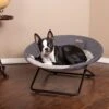 K&H Pet Products Cozy Cot Elevated Dog Bed