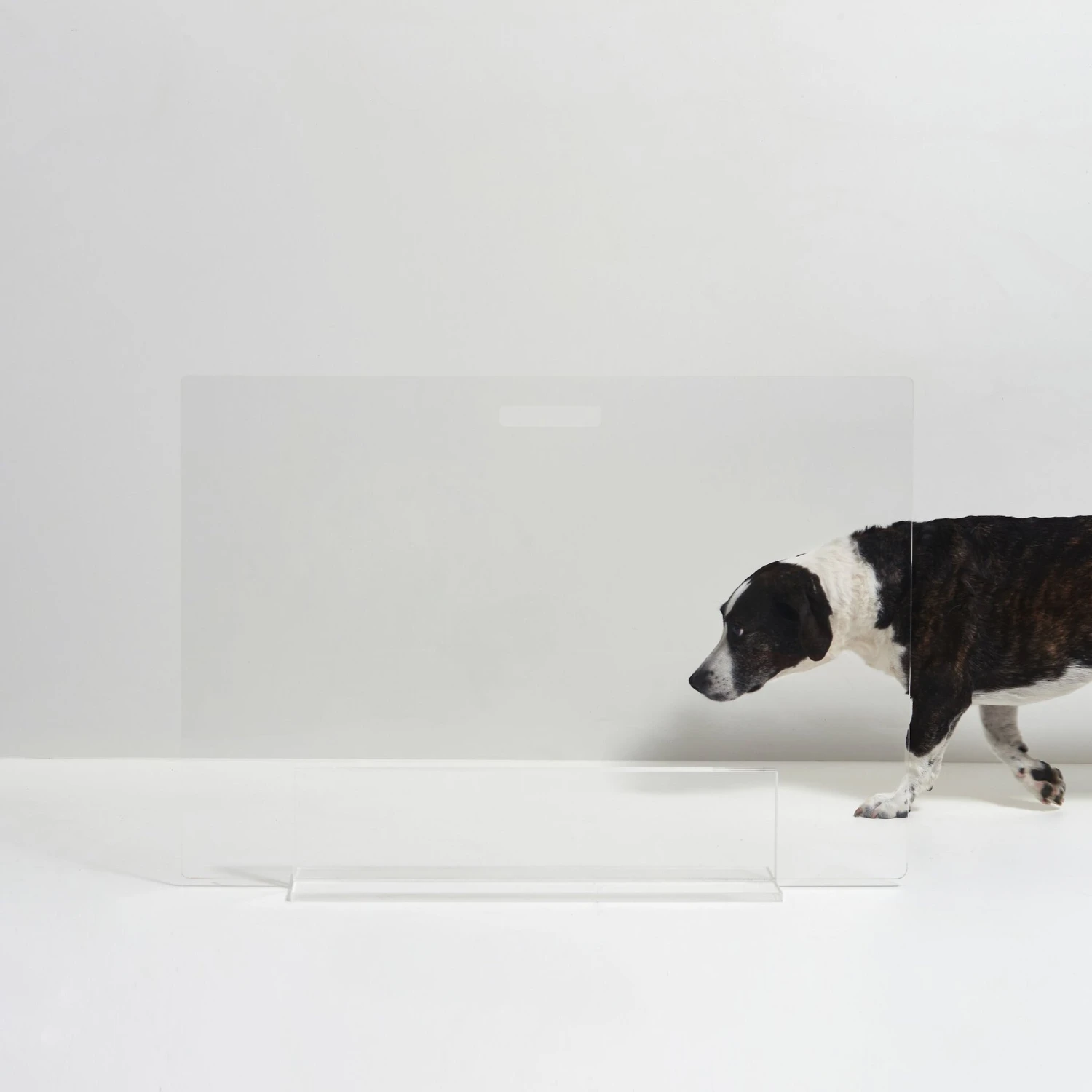 Hiddin Clear View Panel Freestanding Dog Gate 5 Hiddin Clear View Panel Freestanding Dog Gate - Image 5