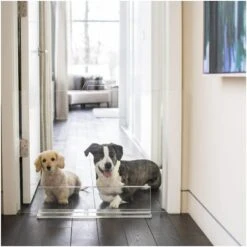 Hiddin Clear View Panel Freestanding Dog Gate 14 Hiddin Clear View Panel Freestanding Dog Gate -Pup Haven Sales Store 316842 PT7. AC SS1800 V1632372414