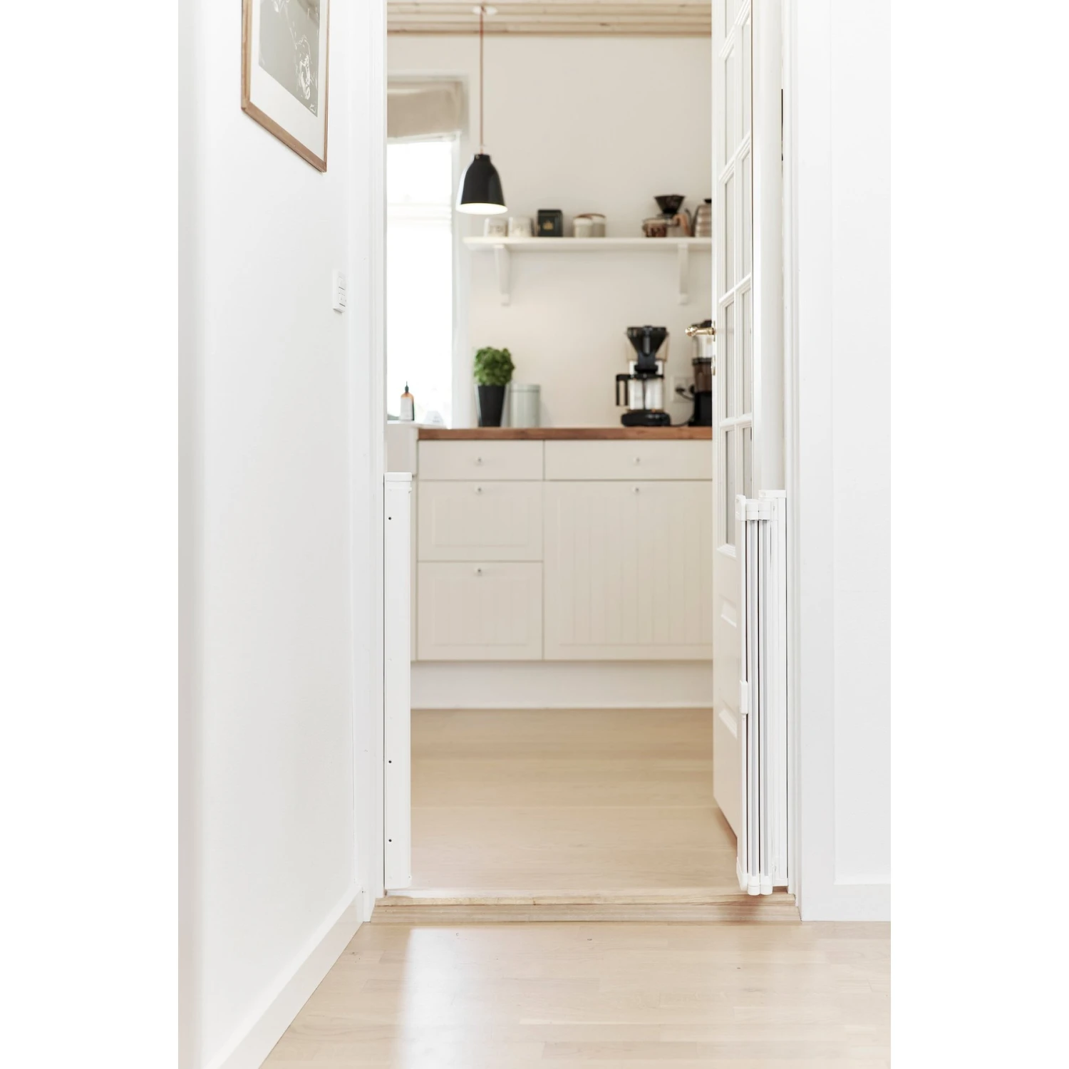 Scandinavian Pet Retractable Dog Gate 3 Scandinavian Pet Retractable Dog Gate - Image 3