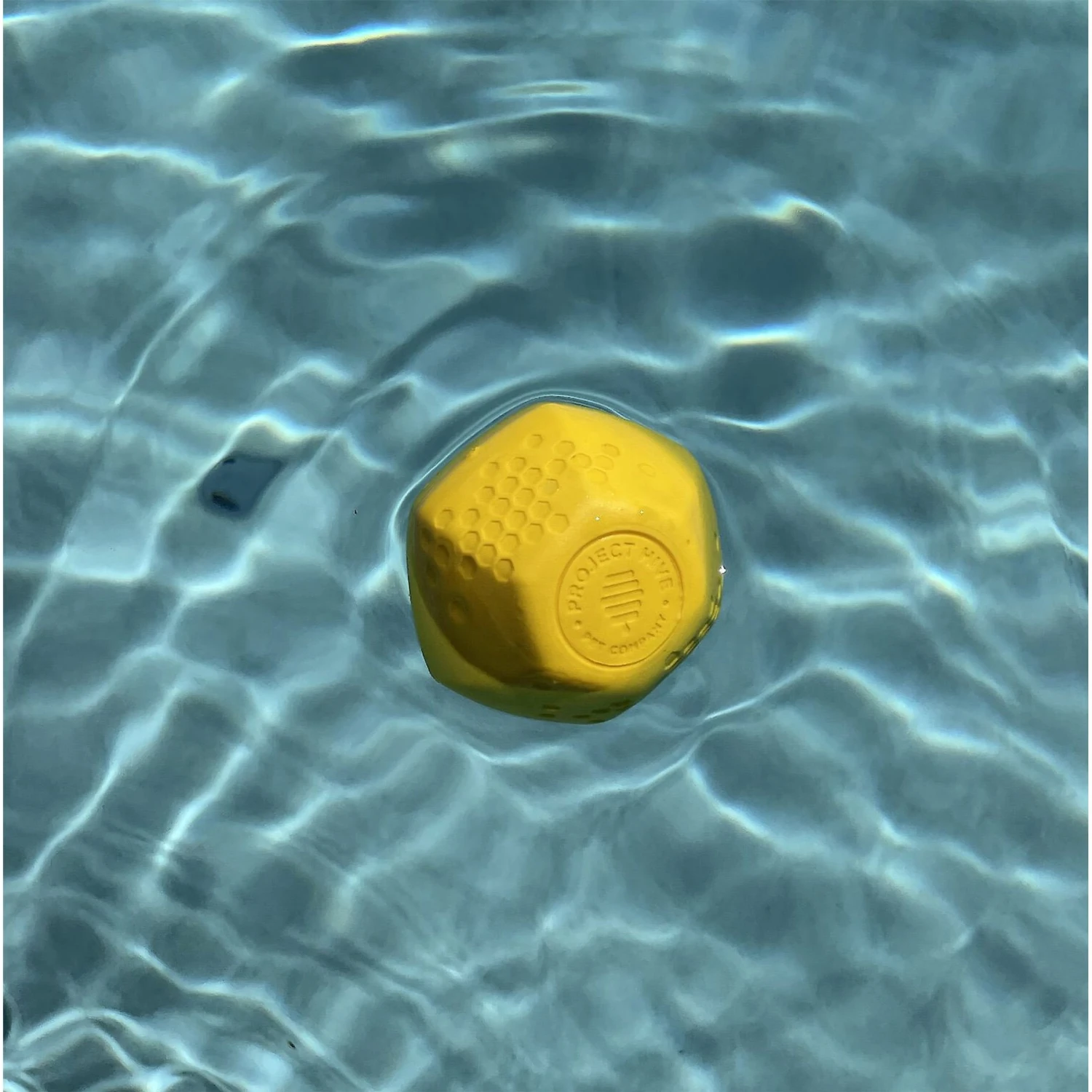 Frisco Fetch Squeaking Colorful Tennis Ball Dog Toy & Project Hive Pet Company Ball Dog Toy 7 Frisco Fetch Squeaking Colorful Tennis Ball Dog Toy & Project Hive Pet Company Ball Dog Toy - Image 7