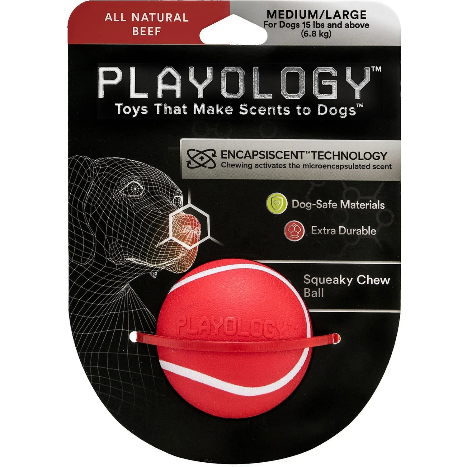 Playology Scented Squeaky Chew Ball Dog Toy & Playology Scented Squeaky Chew Ball Dog Toy 2 Playology Scented Squeaky Chew Ball Dog Toy & Playology Scented Squeaky Chew Ball Dog Toy - Image 2