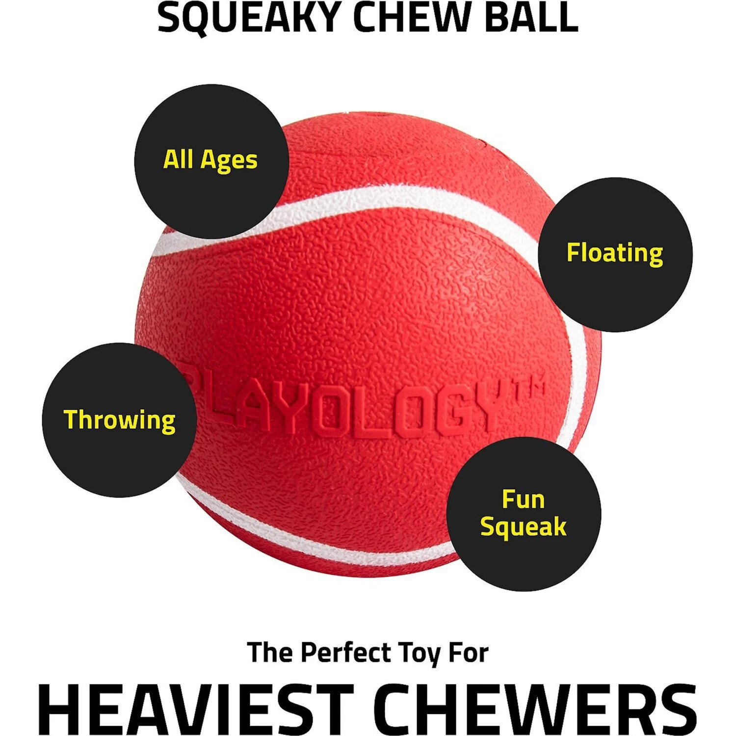 Playology Scented Squeaky Chew Ball Dog Toy & Playology Scented Squeaky Chew Ball Dog Toy 4 Playology Scented Squeaky Chew Ball Dog Toy & Playology Scented Squeaky Chew Ball Dog Toy - Image 4