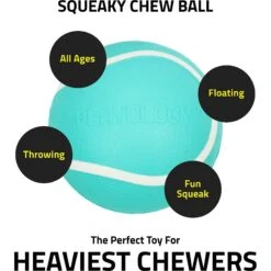 Playology Scented Squeaky Chew Ball Dog Toy & Playology Scented Squeaky Chew Ball Dog Toy 16 Playology Scented Squeaky Chew Ball Dog Toy & Playology Scented Squeaky Chew Ball Dog Toy -Pup Haven Sales Store 319558 PT7. AC SS1800 V1630620091