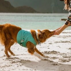 Hurtta Cooling Dog Wrap -Pup Haven Sales Store 320021 PT3. AC SS1800 V1634838677