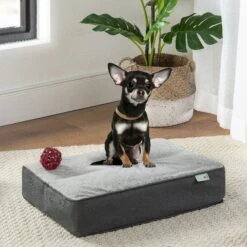 Zinus UltraPlush Green Tea Dog Bed, Grey, 5-in -Pup Haven Sales Store 327439 PT2. AC SS1800 V1631590311