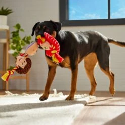 Pixar Toy Story's Woody, Jessie, & Buzz Lightyear Plush With Rope Squeaky Dog Toy -Pup Haven Sales Store 328793 PT3. AC SS1800 V1659032093