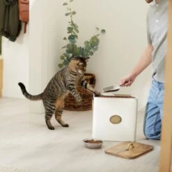 Frisco Premium Airtight Dog & Cat Food Storage Canister With Scoop 9 Frisco Premium Airtight Dog & Cat Food Storage Canister With Scoop -Pup Haven Sales Store 331486 PT3. AC SS1800 V1657656891