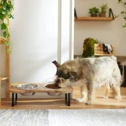 Frisco Premium Wood Elevated Bone Shape Stainless Steel Double Diner Dog & Cat Bowl, 3 Cup 8 Frisco Premium Wood Elevated Bone Shape Stainless Steel Double Diner Dog & Cat Bowl, 3 Cup -Pup Haven Sales Store 331497 PT2. AC SS1800 V1657656892