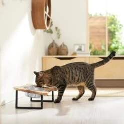 Frisco Premium Wood Elevated Bone Shape Stainless Steel Double Diner Dog & Cat Bowl, 3 Cup 9 Frisco Premium Wood Elevated Bone Shape Stainless Steel Double Diner Dog & Cat Bowl, 3 Cup -Pup Haven Sales Store 331497 PT3. AC SS1800 V1657656892