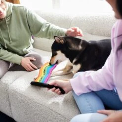 Frisco Pride Flag Flat Squeaky Dog Toy -Pup Haven Sales Store 331640 PT3. AC SS1800 V1647355852