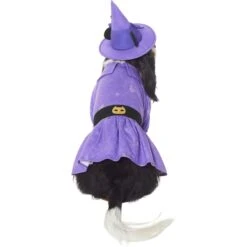 Disney Minnie Mouse Witch Dog & Cat Costume -Pup Haven Sales Store 334755 PT3. AC SS1800 V1657656878