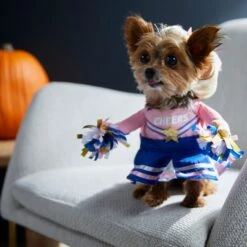 Frisco Front Walking Cheerleader Dog & Cat Costume -Pup Haven Sales Store 334854 PT7. AC SS1800 V1657730610