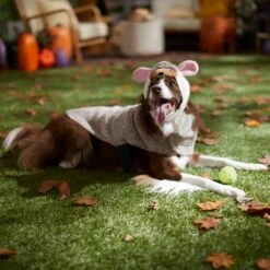 Frisco Hedgehog Dog & Cat Costume 12 Frisco Hedgehog Dog & Cat Costume -Pup Haven Sales Store 334990 PT7. AC SS1800 V1657732628