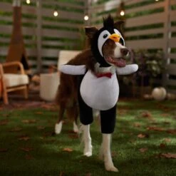 Frisco Front Walking Penguin Dog & Cat Costume -Pup Haven Sales Store 335062 PT7. AC SS1800 V1657718971