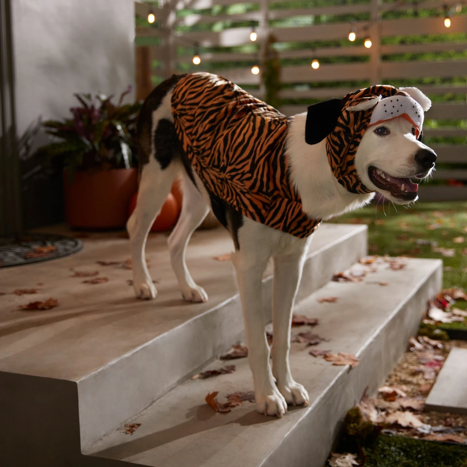 Frisco Tiger Dog & Cat Costume 6 Frisco Tiger Dog & Cat Costume - Image 6