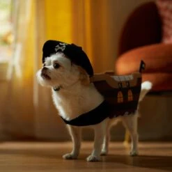 Frisco Pirate Ship Dog & Cat Costume 12 Frisco Pirate Ship Dog & Cat Costume -Pup Haven Sales Store 335078 PT7. AC SS1800 V1657656881