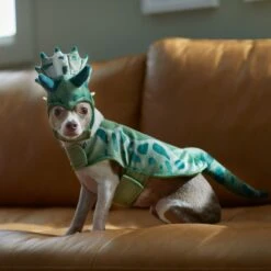 Frisco Triceratops Dog & Cat Costume -Pup Haven Sales Store 335093 PT7. AC SS1800 V1657659565