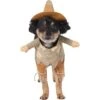 Frisco Front Walking Scarecrow Dog & Cat Costume