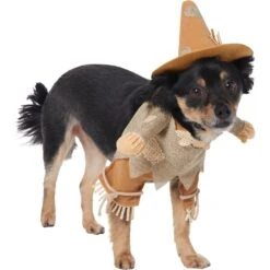 Frisco Front Walking Scarecrow Dog & Cat Costume -Pup Haven Sales Store 335135 PT3. AC SS1800 V1658349680