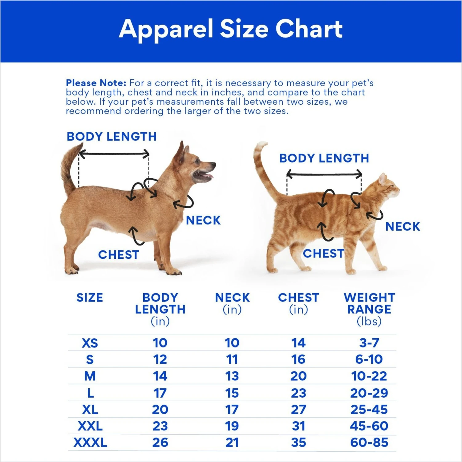 Marvel 's Loki Varient Lightweight Dog & Cat Jacket 2 Marvel 's Loki Varient Lightweight Dog & Cat Jacket - Image 2